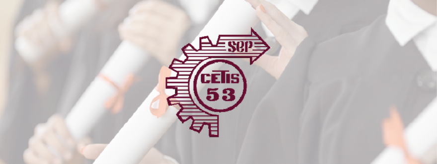 CETIS 53